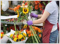 Alphabet Florists Mobile Apps