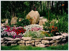 Alphabet Landscaping Mobile Apps